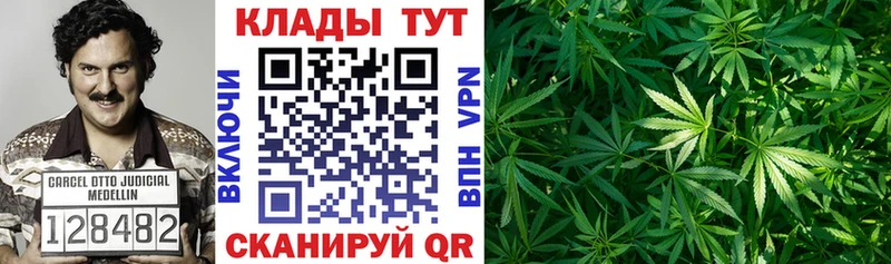 Наркошоп купить Каннабис  COCAIN  А ПВП  Галлюциногенные грибы  Гашиш  Меф  Нестеровская